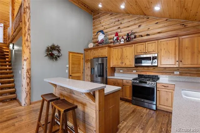 9110 Mountain Road Cascade, CO 80809