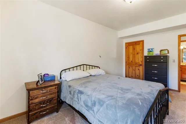 9110 Mountain Road Cascade, CO 80809