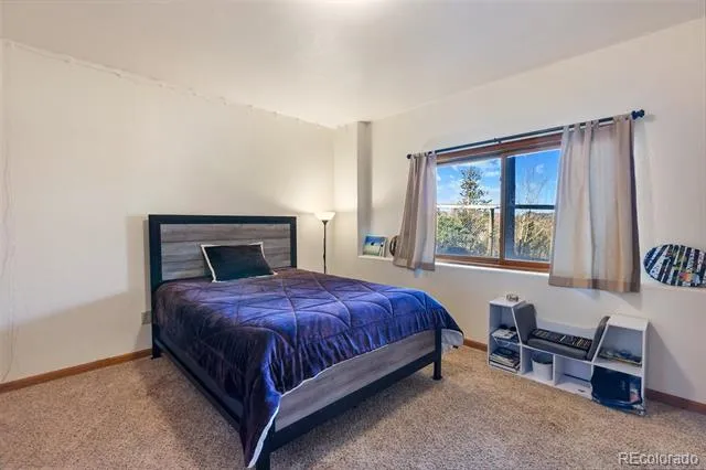 9110 Mountain Road Cascade, CO 80809