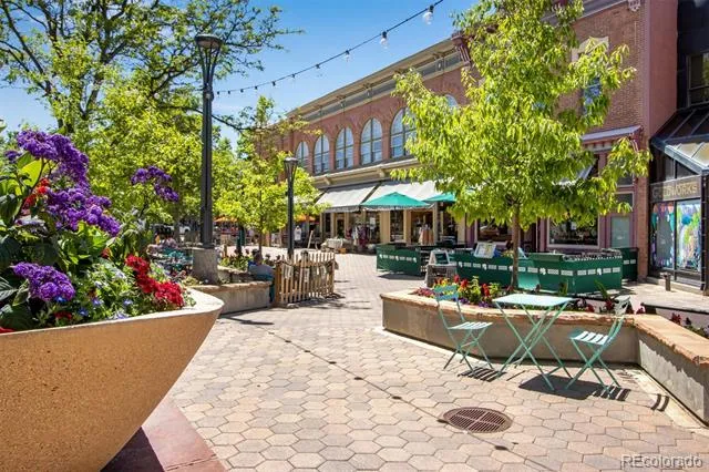 153 Mathews Street Fort Collins, CO 80524