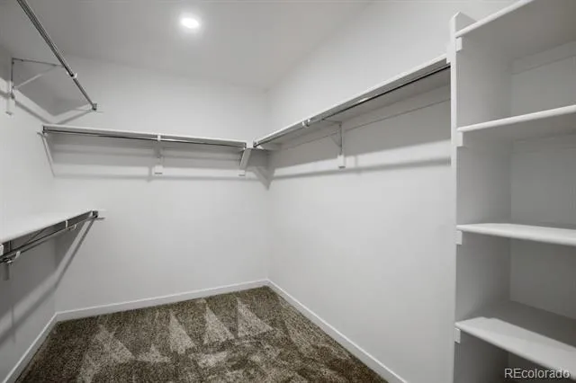 1732 Crested Lark Street Fort Collins, CO 80528