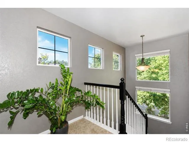 1414 Canal Drive Windsor, CO 80550