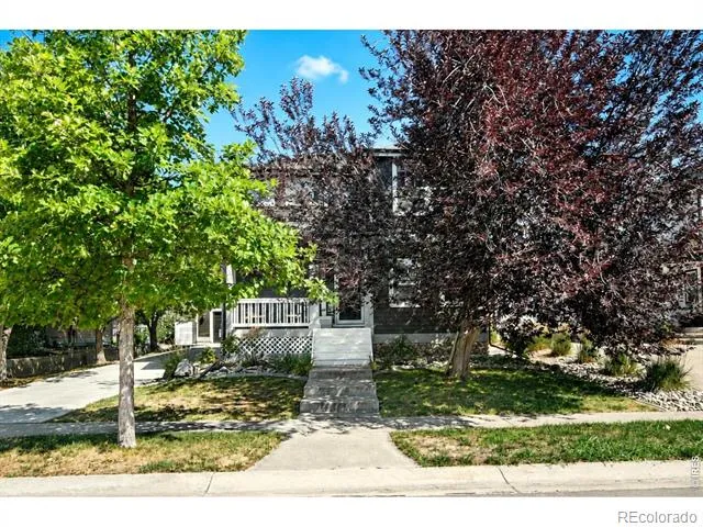 1414 Canal Drive Windsor, CO 80550