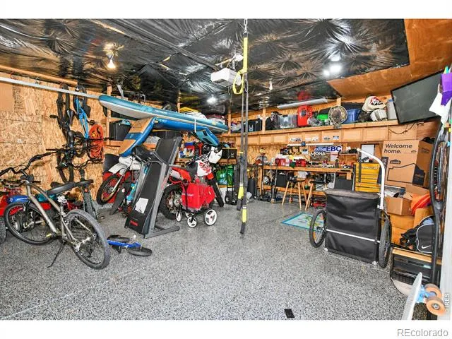 1414 Canal Drive Windsor, CO 80550