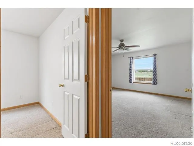 1530 Walnut Street Windsor, CO 80550