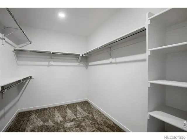 1732 Crested Lark Street Fort Collins, CO 80528