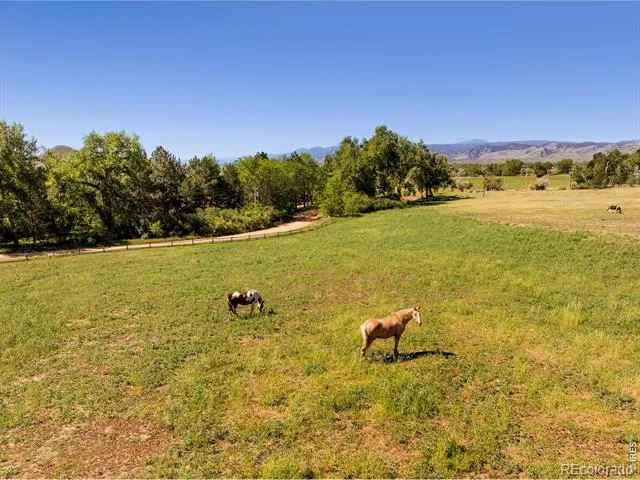 8331 Ouray Drive Longmont, CO 80503
