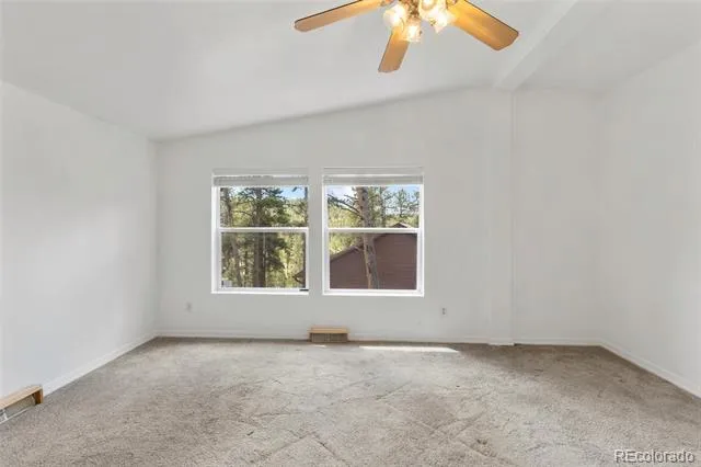 46 Kingston Circle Florissant, CO 80816