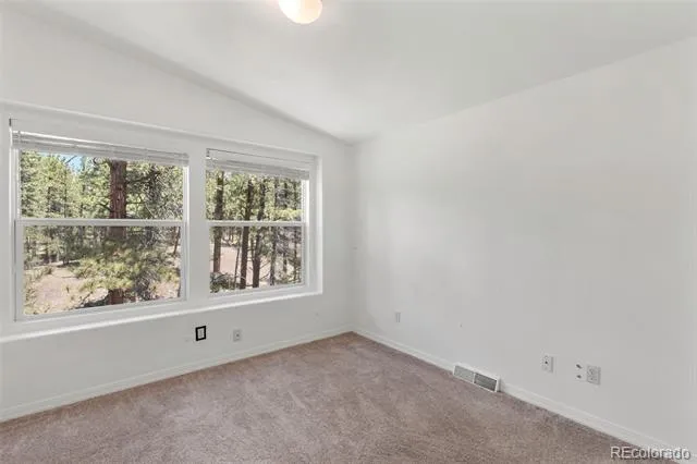 46 Kingston Circle Florissant, CO 80816