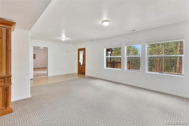 46 Kingston Circle Florissant, CO 80816