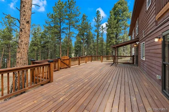 46 Kingston Circle Florissant, CO 80816