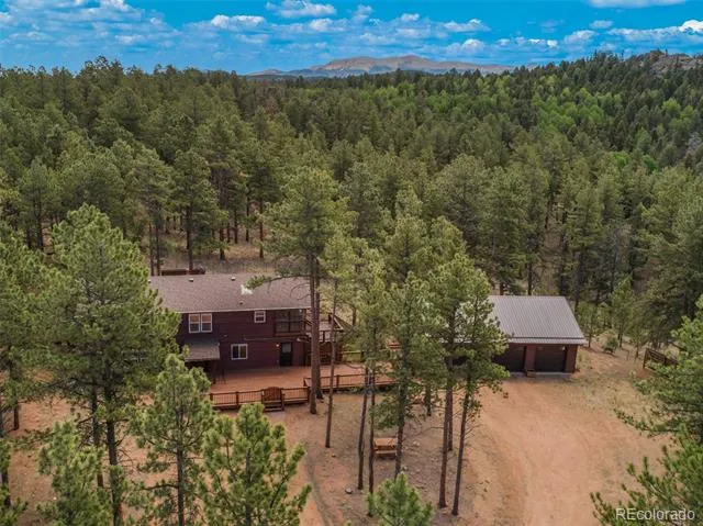 46 Kingston Circle Florissant, CO 80816