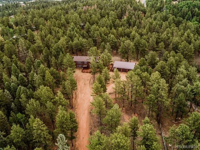 46 Kingston Circle Florissant, CO 80816