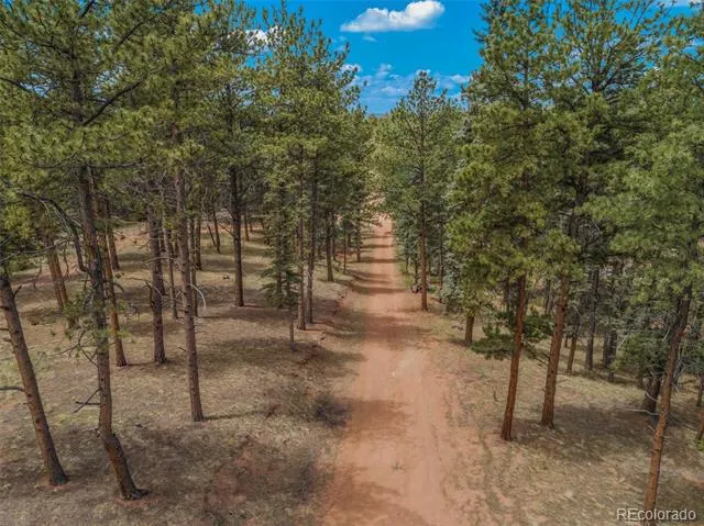46 Kingston Circle Florissant, CO 80816