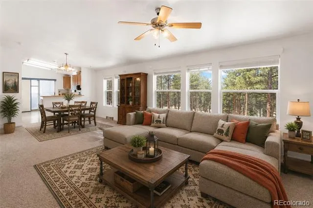 46 Kingston Circle Florissant, CO 80816
