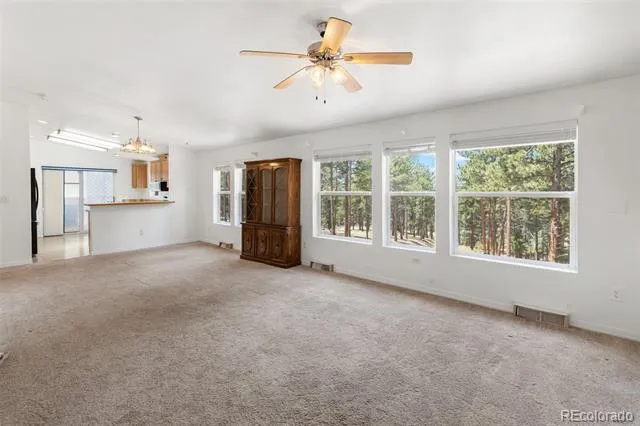 46 Kingston Circle Florissant, CO 80816