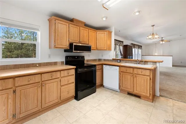 46 Kingston Circle Florissant, CO 80816