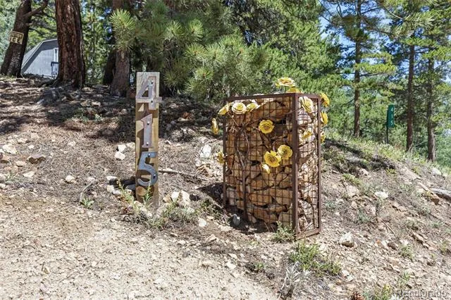 415 Upper Travis Gulch Road Black Hawk, CO 80422