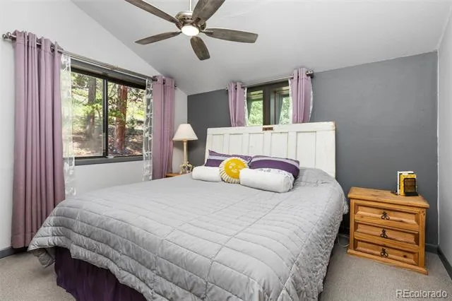 415 Upper Travis Gulch Road Black Hawk, CO 80422
