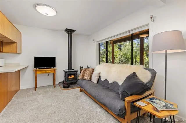 415 Upper Travis Gulch Road Black Hawk, CO 80422