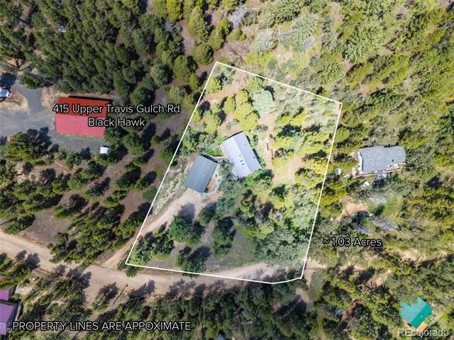 415 Upper Travis Gulch Road Black Hawk, CO 80422