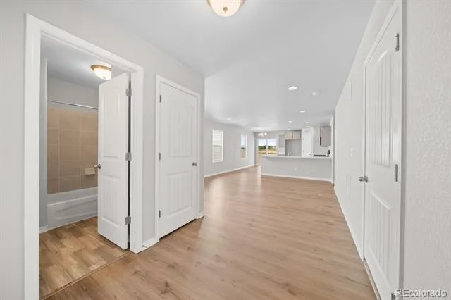 786 Carrie Court Watkins, CO 80137