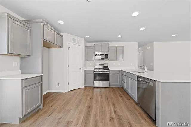 786 Carrie Court Watkins, CO 80137