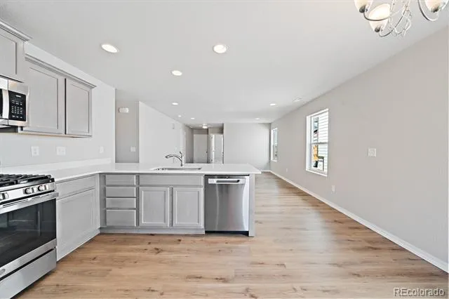 786 Carrie Court Watkins, CO 80137