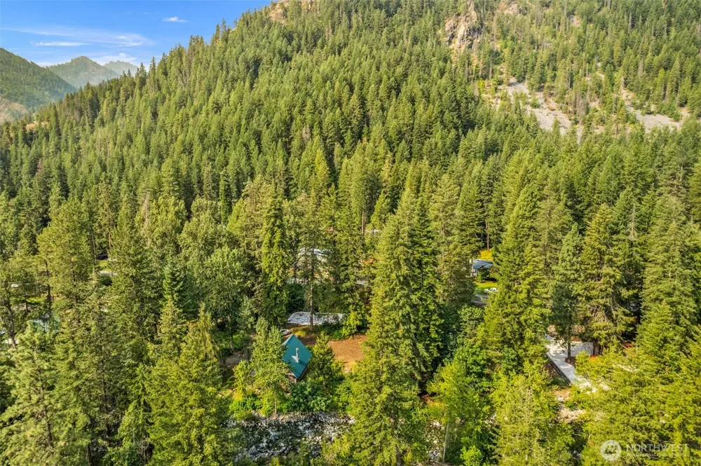 3263 Allen Lane Peshastin, WA 98847