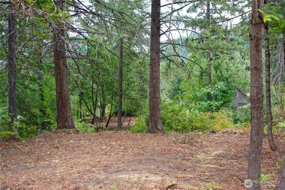 3263 Allen Lane Peshastin, WA 98847