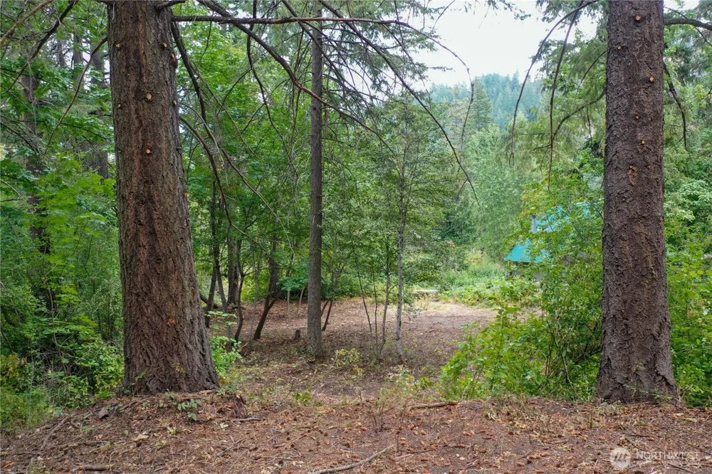 3263 Allen Lane Peshastin, WA 98847