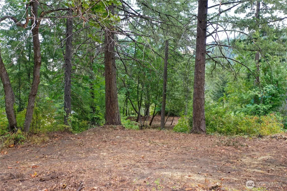 3263 Allen Lane Peshastin, WA 98847