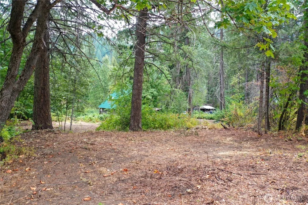 3263 Allen Lane Peshastin, WA 98847