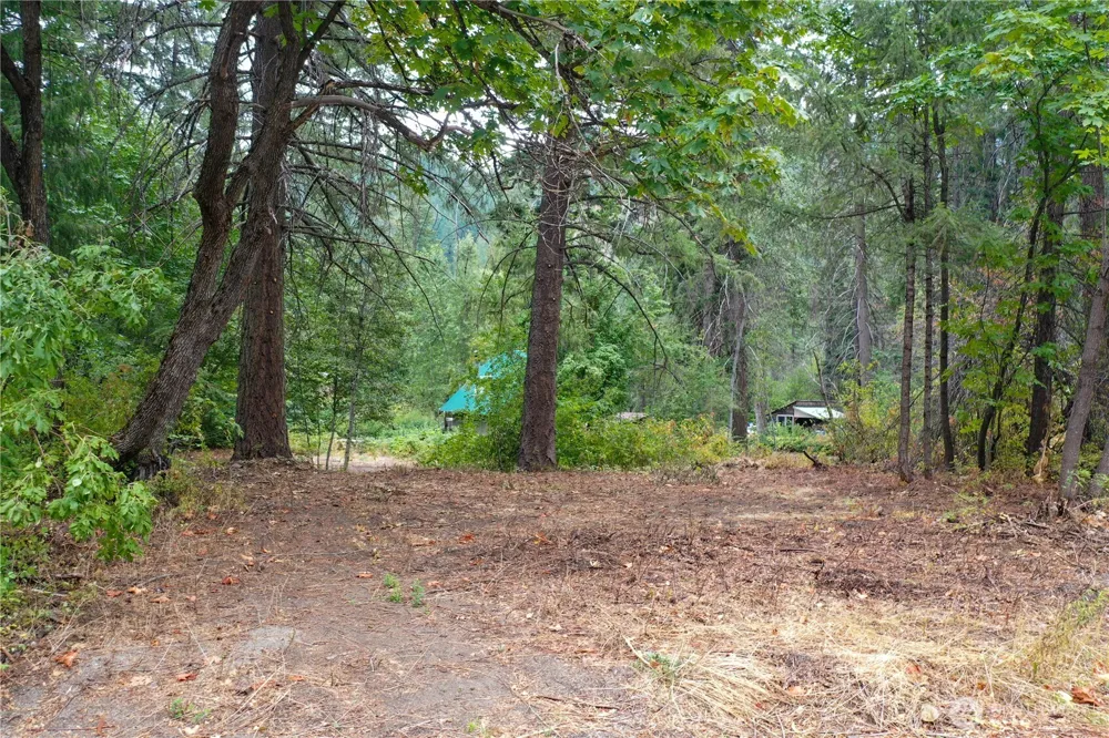 3263 Allen Lane Peshastin, WA 98847