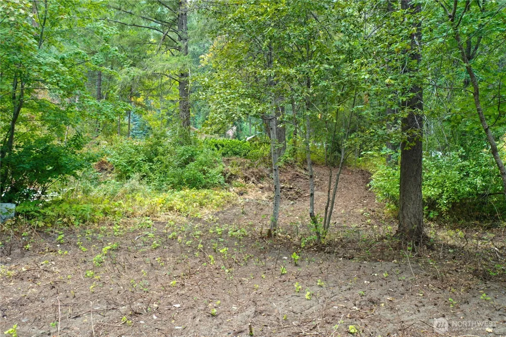 3263 Allen Lane Peshastin, WA 98847