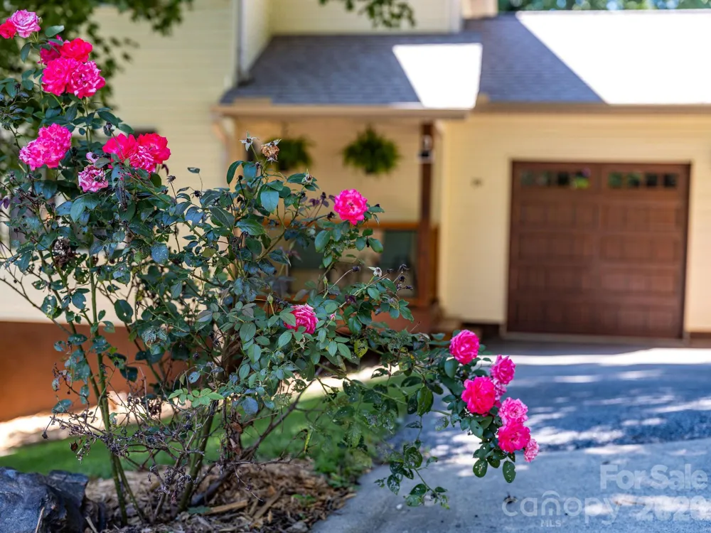 19 Oakcrest Place Asheville, NC 28806