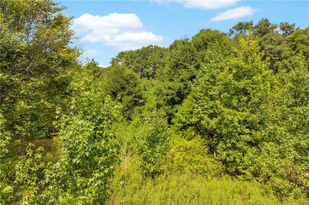 0 Poplar Road Commerce, GA 30529