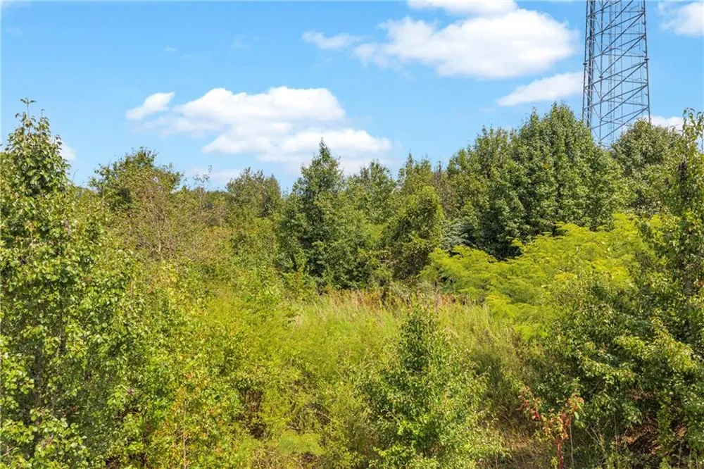 0 Poplar Road Commerce, GA 30529
