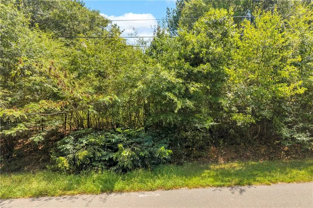 0 Poplar Road Commerce, GA 30529