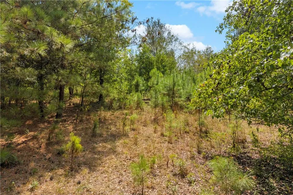 0 Poplar Road Commerce, GA 30529
