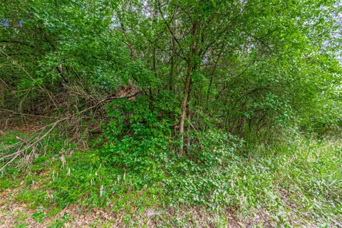 2811 River View Trail