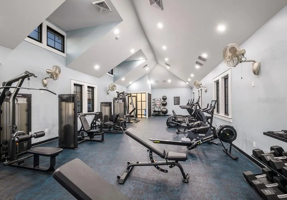 5163 SEA BRANCH AVENUE Apollo Beach, FL 33572