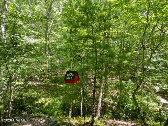 158 Red Oak Forest Lane Murphy, NC 28906