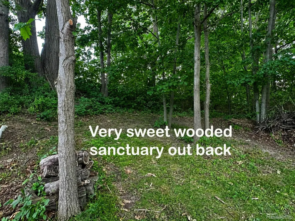 3616 Wedgewood Drive Elba Township, MI 48446