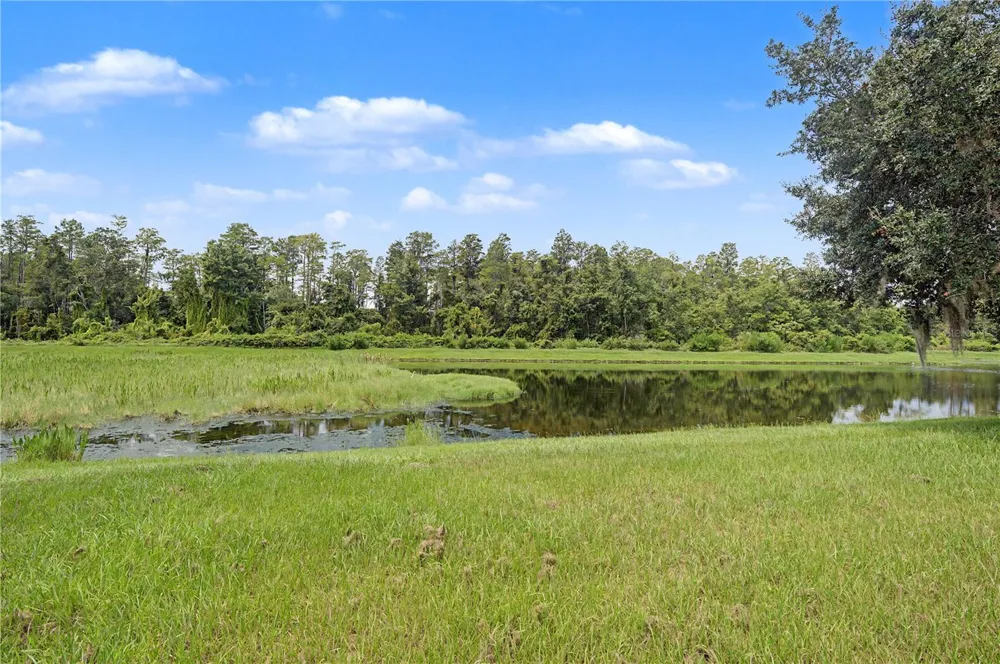 9837 JASMINE BROOK CIRCLE Land O Lakes, FL 34638