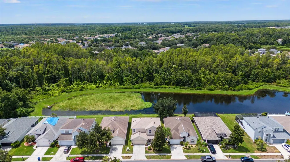 9837 JASMINE BROOK CIRCLE Land O Lakes, FL 34638