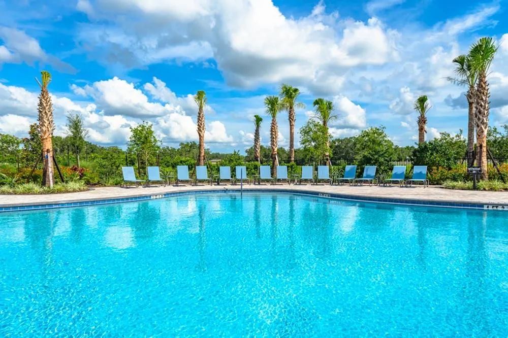 12206 WISPY CLOUD WAY Hudson, FL 34669