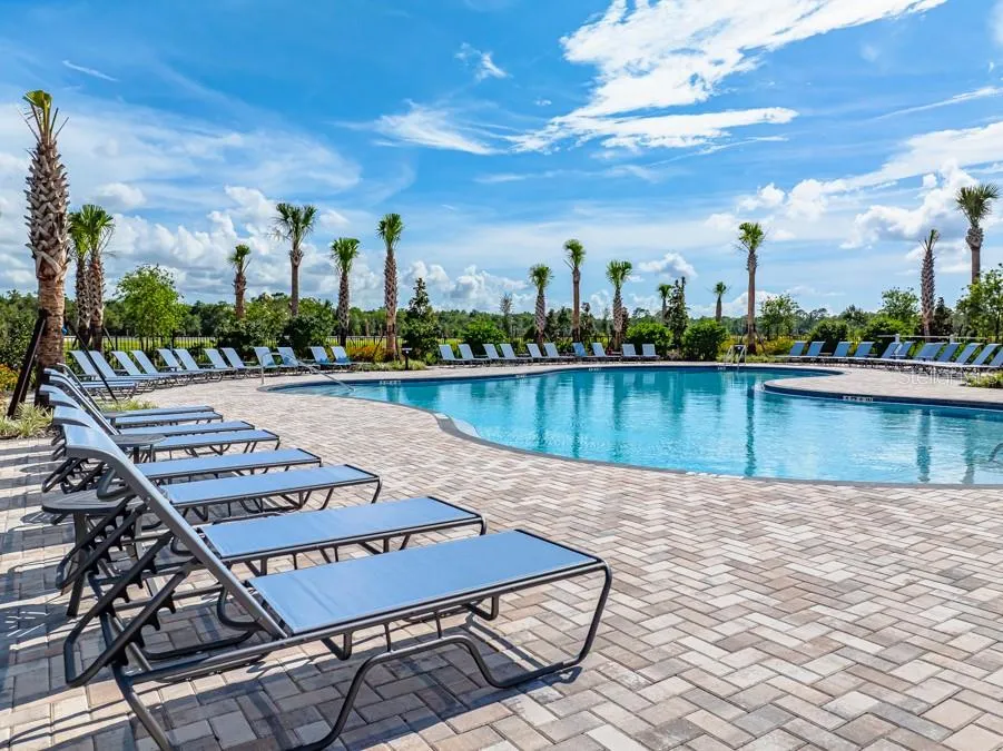 12206 WISPY CLOUD WAY Hudson, FL 34669