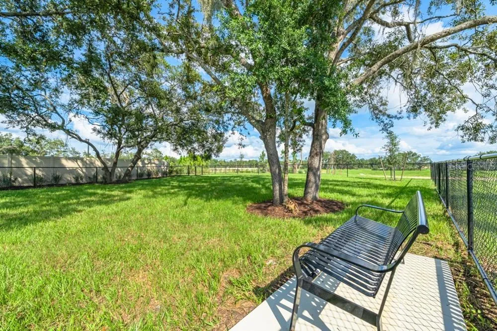 12206 WISPY CLOUD WAY Hudson, FL 34669
