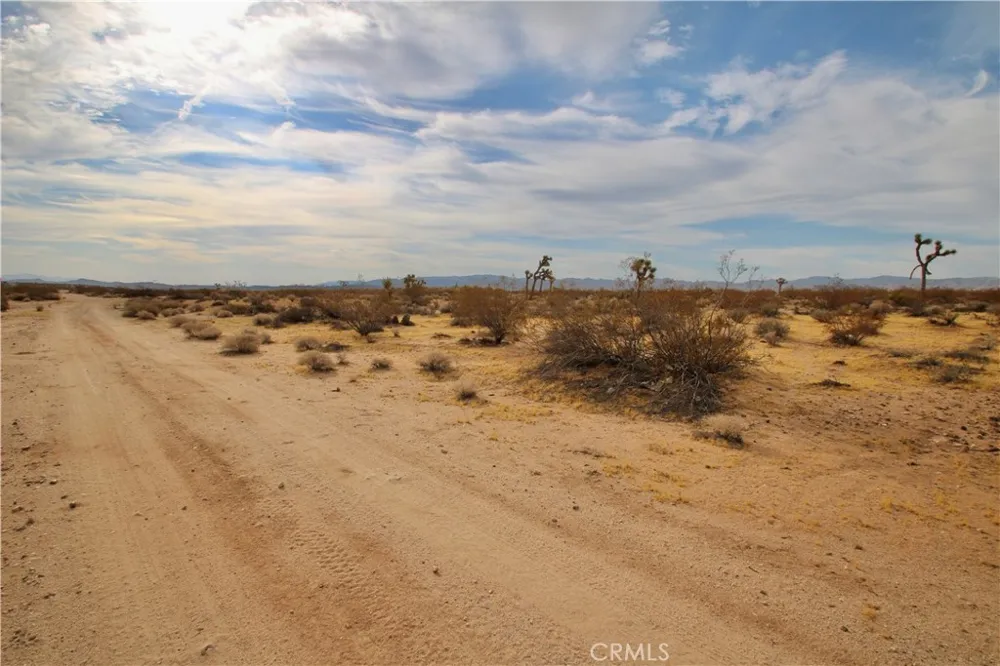 Cielito Drive Joshua Tree, CA 92252